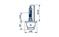 NARVA 84006 84006